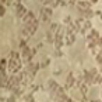 Manches Longues À Détails Dentelle Élégante Grıs