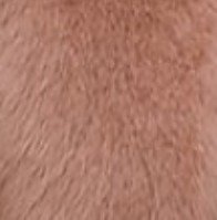 Manches Longues Col En V Basique Blanche Sweatshırt