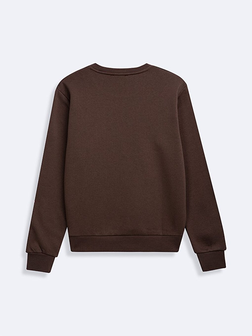 Long Sleeves Slogan Print Brown Sweatshırt